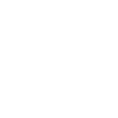 INSEAD - CLIENT